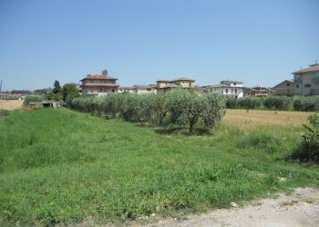 Foto 15 - Terreno edificabile Spinetoli - foto 15