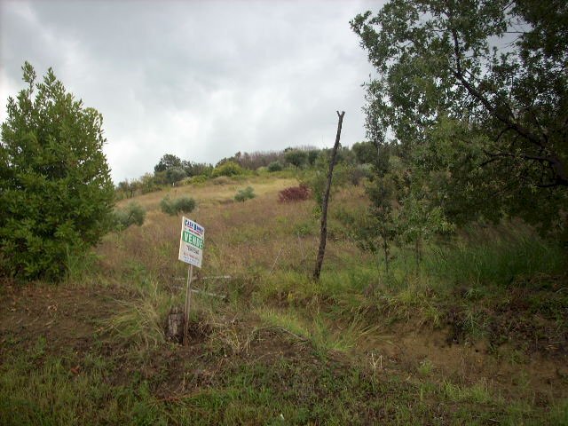 Foto 3 - Agricultural land Contrada San Giovanni, Colonnella - photo 3