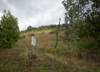 Foto 3 - Terreno agricolo Contrada San Giovanni, Colonnella - foto 3