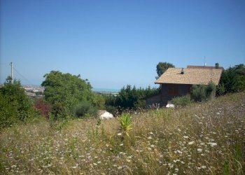 Foto 5 - Terreno agricolo Contrada San Giovanni, Colonnella - foto 5