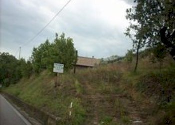 Foto 6 - Terreno agricolo Contrada San Giovanni, Colonnella - foto 6