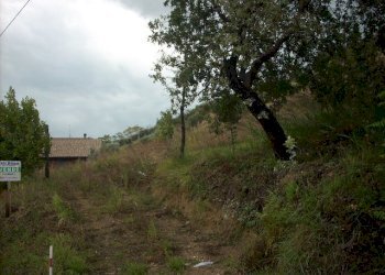 Foto 7 - Terreno agricolo Contrada San Giovanni, Colonnella - foto 7