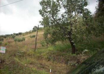 Foto 9 - Terreno agricolo Contrada San Giovanni, Colonnella - foto 8