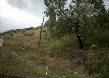 Foto 10 - Terreno agricolo Contrada San Giovanni, Colonnella - foto 9