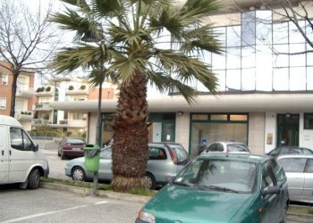 Foto 2 - Warehouse Largo Danubio, San Benedetto del Tronto - photo 2