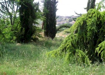 Foto 5 - Terreno edificabile Contrada Giardino, Colonnella - foto 5