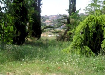 Foto 6 - Terreno edificabile Contrada Giardino, Colonnella - foto 6