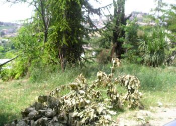 Foto 7 - Terreno edificabile Contrada Giardino, Colonnella - foto 7