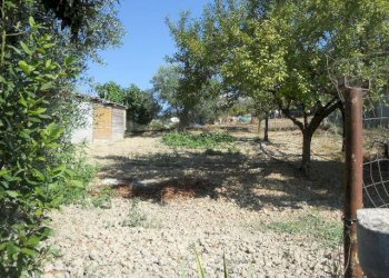 Foto 9 - Rustico Contrada Rio Moro, Colonnella - foto 9