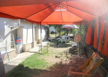 Foto 11 - Rustico Contrada Rio Moro, Colonnella - foto 11