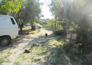 Foto 17 - Rustico Contrada Rio Moro, Colonnella - foto 17