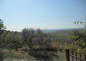 Foto 18 - Rustico Contrada Rio Moro, Colonnella - foto 18