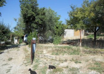 Foto 19 - Rustico Contrada Rio Moro, Colonnella - foto 19