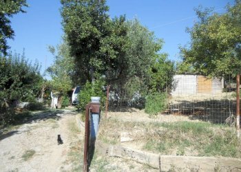 Foto 20 - Rustico Contrada Rio Moro, Colonnella - foto 20