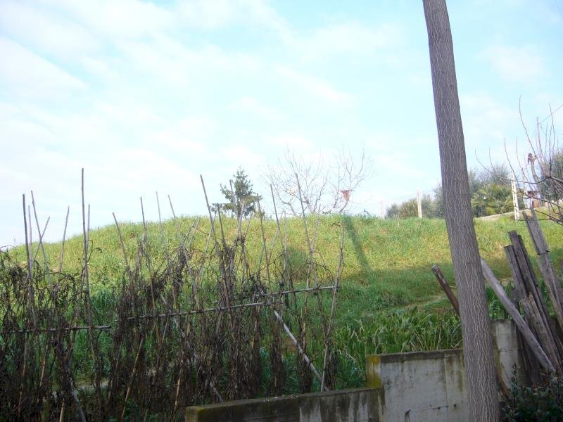 Foto 3 - Terreno edificabile Via Pertini, Monsampolo del Tronto - foto 3