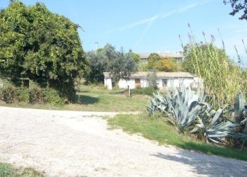 Foto 3 - Rustico Contrada San Martino, Colonnella - foto 3