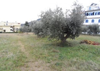 Foto 4 - Terreno edificabile Via Cilea, Grottammare - foto 4