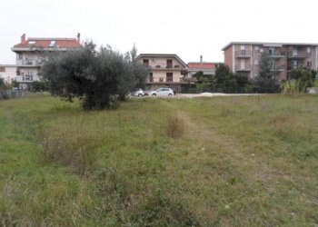 Foto 5 - Terreno edificabile Via Cilea, Grottammare - foto 5