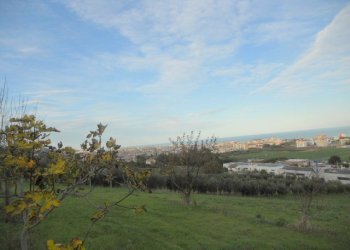 Foto 4 - Terreno agricolo Strada Panoramica, San Benedetto del Tronto - foto 4