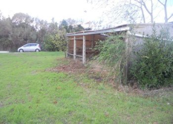 Foto 5 - Terreno agricolo Strada Panoramica, San Benedetto del Tronto - foto 5