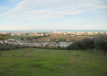 Foto 6 - Terreno agricolo Strada Panoramica, San Benedetto del Tronto - foto 6