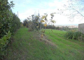 Foto 7 - Terreno agricolo Strada Panoramica, San Benedetto del Tronto - foto 7