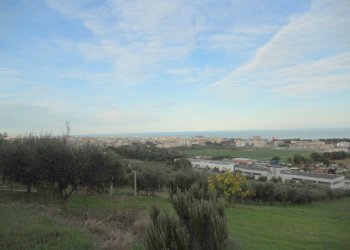 Foto 9 - Terreno agricolo Strada Panoramica, San Benedetto del Tronto - foto 9