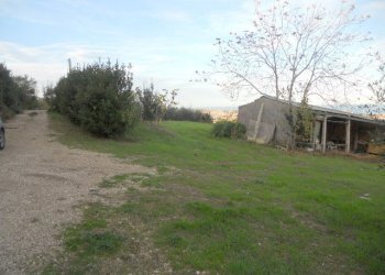 Foto 11 - Terreno agricolo Strada Panoramica, San Benedetto del Tronto - foto 11