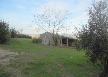 Foto 12 - Terreno agricolo Strada Panoramica, San Benedetto del Tronto - foto 12