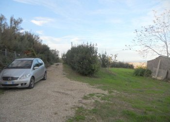 Foto 13 - Terreno agricolo Strada Panoramica, San Benedetto del Tronto - foto 13