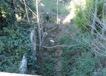 Foto 18 - Rustic Contrada Civita, Martinsicuro - photo 15