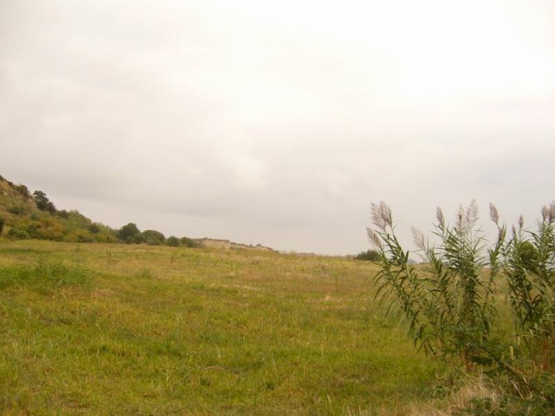 Foto 3 - Terreno agricolo Panoramica, San Benedetto del Tronto - foto 3