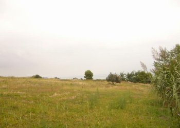 Foto 4 - Terreno agricolo Panoramica, San Benedetto del Tronto - foto 4