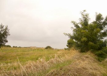 Foto 8 - Terreno agricolo Panoramica, San Benedetto del Tronto - foto 8