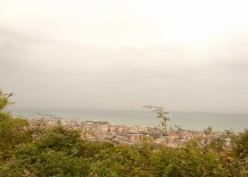 Foto 10 - Terreno agricolo Panoramica, San Benedetto del Tronto - foto 10