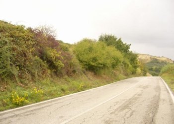 Foto 12 - Terreno agricolo Panoramica, San Benedetto del Tronto - foto 12