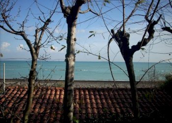 Foto 15 - Attività Commerciale Via Adriatica Sud, Cupra Marittima - foto 15