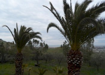 Foto 35 - Villa Via San Donato, Monteprandone - photo 35