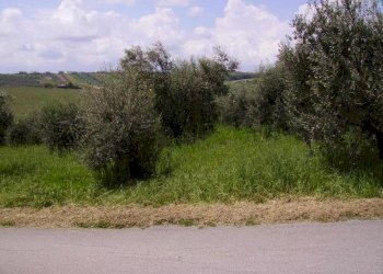 Foto 3 - Rustico Contrada Rio Moro, Colonnella - foto 3