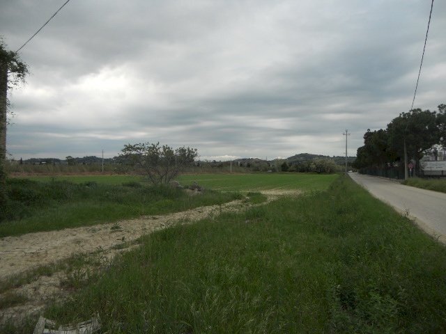 Foto 3 - Rustic Strada Provinciale 1, Controguerra - photo 3