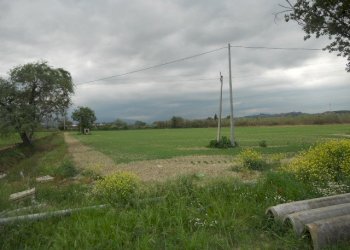 Foto 6 - Rustic Strada Provinciale 1, Controguerra - photo 4