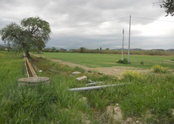 Foto 10 - Rustic Strada Provinciale 1, Controguerra - photo 7