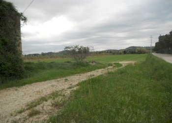 Foto 11 - Rustic Strada Provinciale 1, Controguerra - photo 8