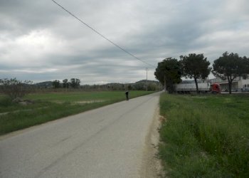 Foto 12 - Rustic Strada Provinciale 1, Controguerra - photo 9