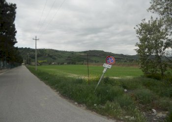 Foto 13 - Rustic Strada Provinciale 1, Controguerra - photo 10