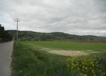 Foto 14 - Rustic Strada Provinciale 1, Controguerra - photo 11