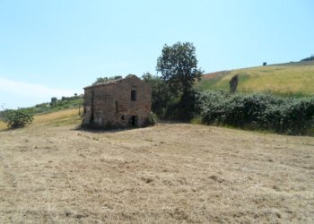 Foto 2 - Rustico Contrada San Giacomo, Acquaviva Picena - foto 2
