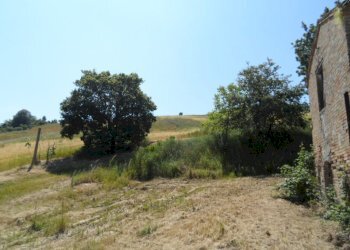 Foto 4 - Rustico Contrada San Giacomo, Acquaviva Picena - foto 4