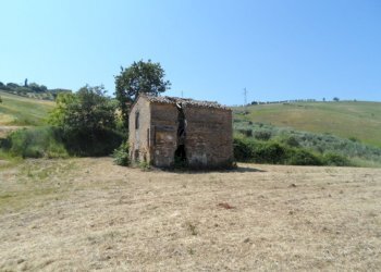 Foto 6 - Rustico Contrada San Giacomo, Acquaviva Picena - foto 6