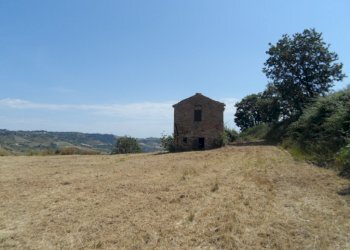 Foto 7 - Rustico Contrada San Giacomo, Acquaviva Picena - foto 7